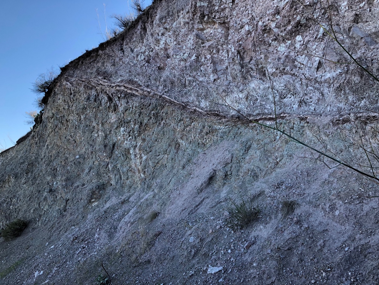 The volcanic unit, note the paleosol (old soil surface running across the outcrop.